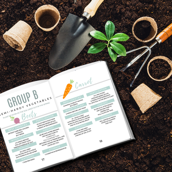 How to grow a vegetable Gardening guide for beginners