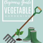 gardening for beginners