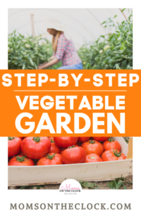 grow a vegetable garden for beginners