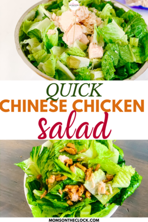 Best Ever Chinese Chicken Salad Recipe - Moms On The Clock